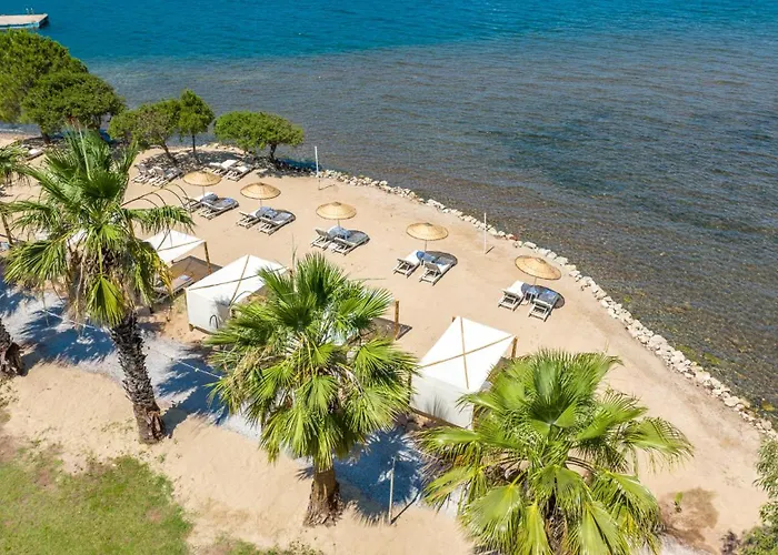 Chillos 말마리스