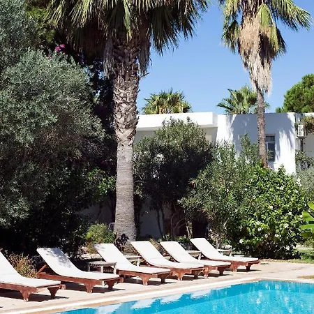 Hotel Chillos